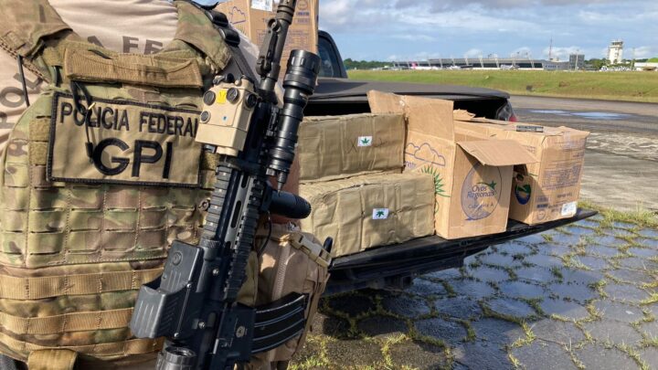 PF de Belém/PA intercepta carregamento de 290 kg de shunk que iria para Petrolina