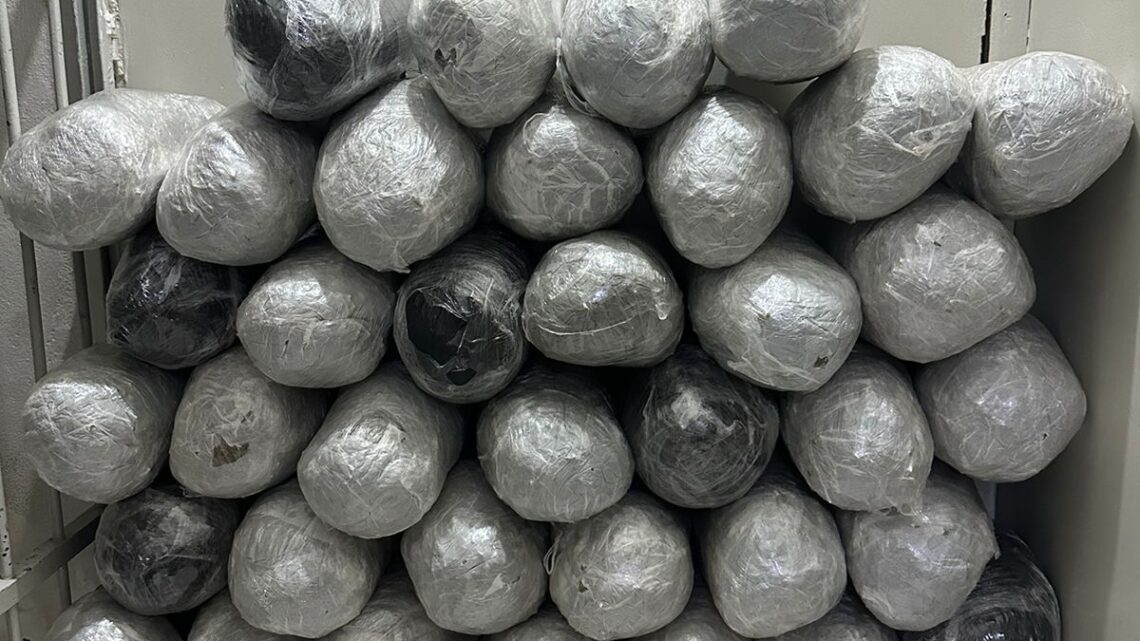 PM apreende grande quantidade de maconha e três carros PM apreende grande quantidade de maconha e três carros