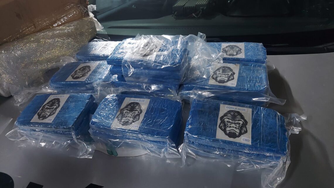 Mulher de Caruaru tenta levar droga para Paraíba para receber R$ 2 mil e é presa em flagrante no Recife Mulher de Caruaru tenta levar droga para Paraíba para receber R$ 2 mil e é presa em flagrante no Recife