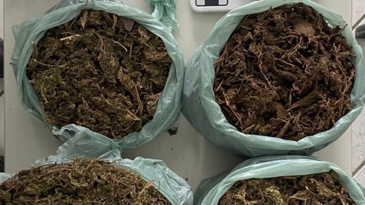 Dupla é presa com maconha, após cair de moto, durante perseguição da PM