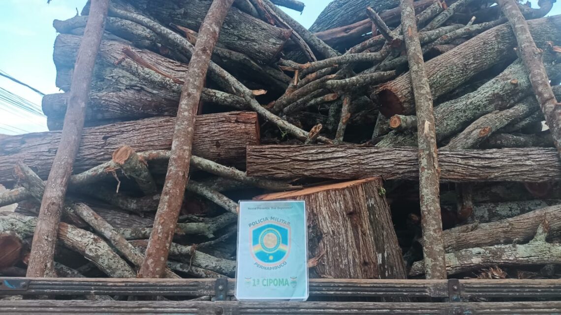 PM flagra crime ambiental e apreende carga de madeira