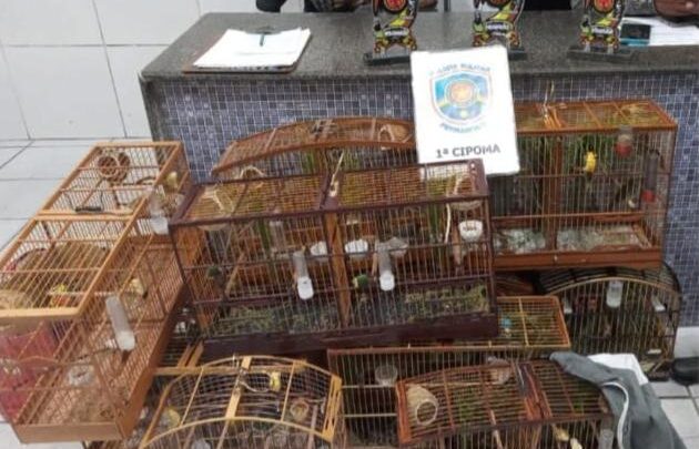 PM encerra torneio de canto de pássaros e prende 11 pessoas