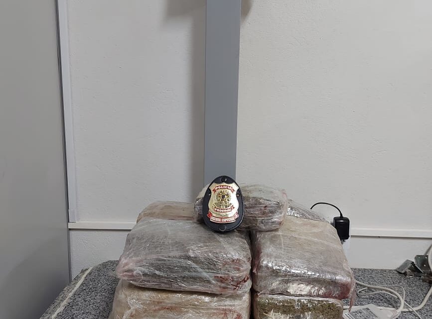 PF prende mulher com 7 kg de “skunk” em potes de açaí no Aeroporto de Recife