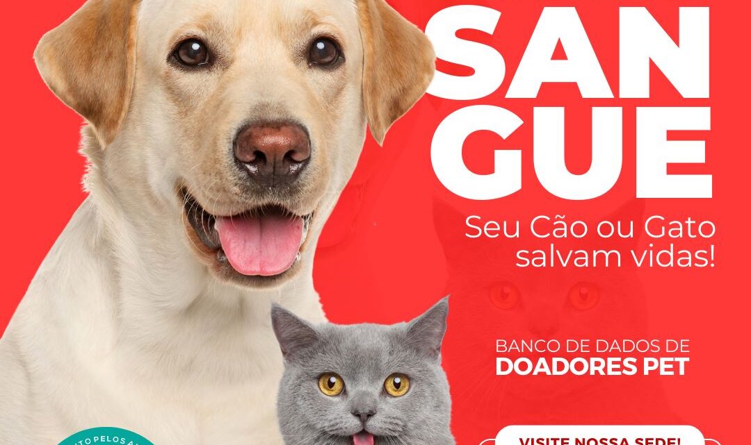 Instituto 4 Patas cria cadastro de dados de doadores pet para banco de sangue