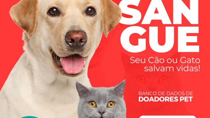 Instituto 4 Patas cria cadastro de dados de doadores pet para banco de sangue