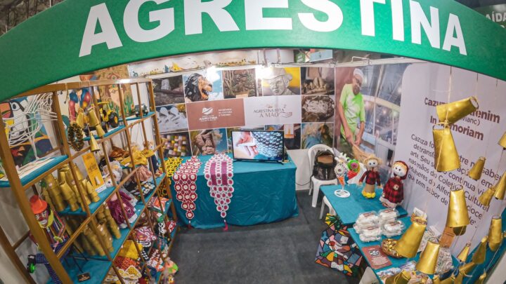 Agrestina mantém tradição e leva seu artesanato para 23° Edição da Fenearte