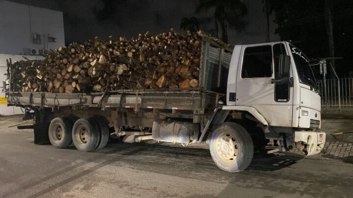 PM apreende caminhão com carga ilegal de madeira