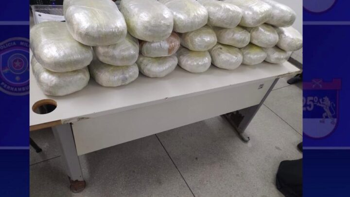 Mulher viajava em ônibus com criança e mais de 20kg de maconha