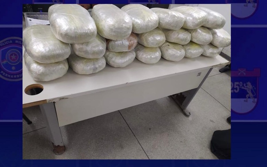 Mulher viajava em ônibus com criança e mais de 20kg de maconha