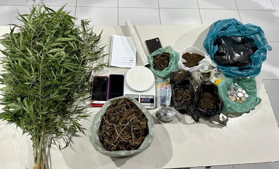 Dupla é presa por tráfico e cultivo de pés de maconha Dupla é presa por tráfico e cultivo de pés de maconha