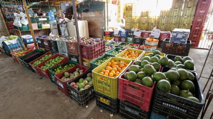 Ceaca registra variações significativas nos preços de alimentos