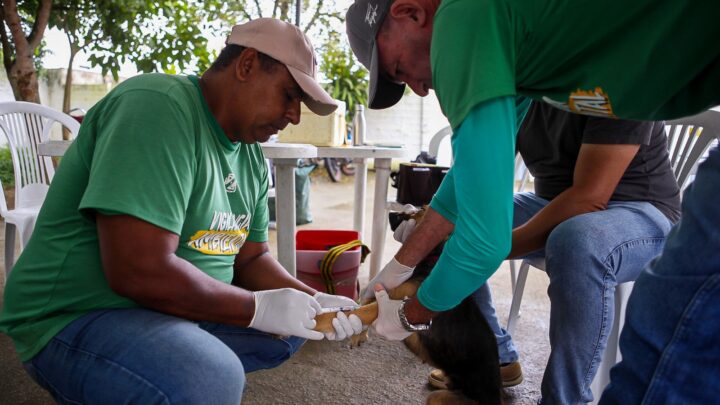 Encontro sobre enfrentamento à Leishmaniose, em Caruaru