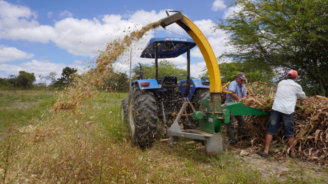 Caruaru é a primeira cidade em Pernambuco que adquiriu o registro no Renagro