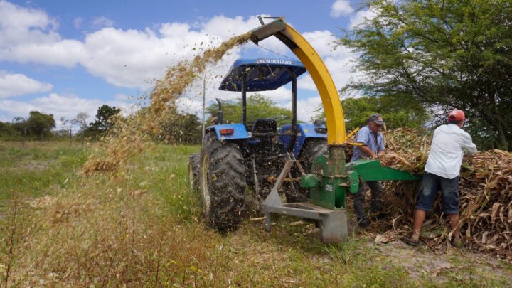 Caruaru é a primeira cidade em Pernambuco que adquiriu o registro no Renagro