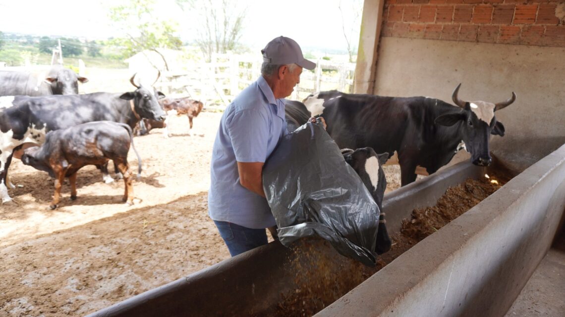 Programa Municipal de Silagem beneficiará mais de 200 famílias de produtores rurais