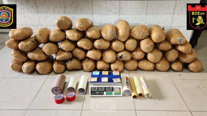 Quase 50kg de maconha apreendidos em Caruaru