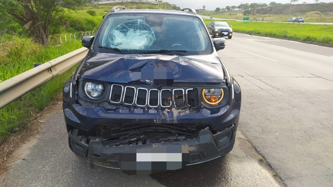 Motociclista morre após ser atingido por carro na BR 232 Motociclista morre após ser atingido por carro na BR 232