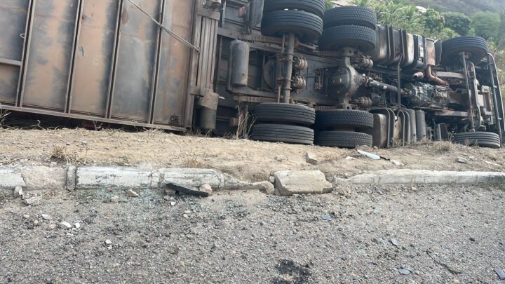 Motorista fica ferido e 10 bois morrem após caminhão tombar na BR 232