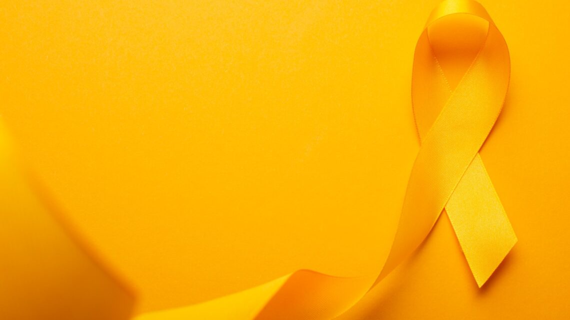 HMV realiza programação voltada para o Setembro Amarelo; Confira HMV realiza programação voltada para o Setembro Amarelo; Confira