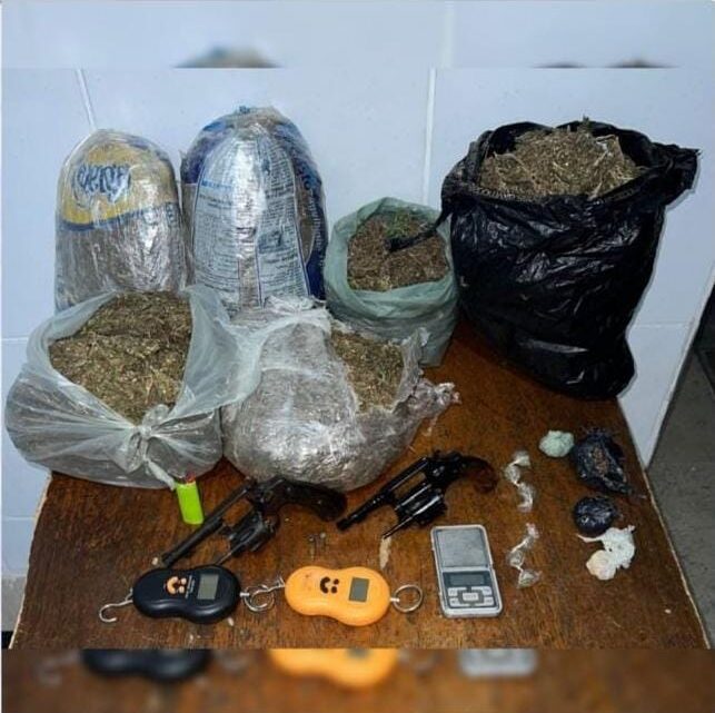 PM apreende grande quantidade de maconha PM apreende grande quantidade de maconha