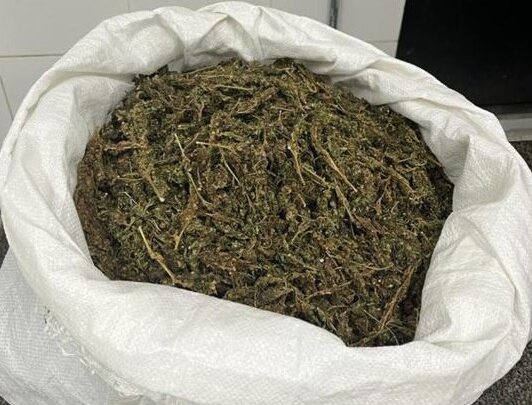 PM apreende maconha que iria ser enterrada na mata