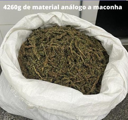 PM apreende maconha que iria ser enterrada na mata PM apreende maconha que iria ser enterrada na mata