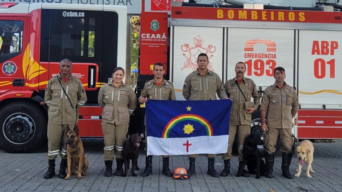 Quatro cães dos bombeiros conquistam certificação nacional Quatro cães dos bombeiros conquistam certificação nacional