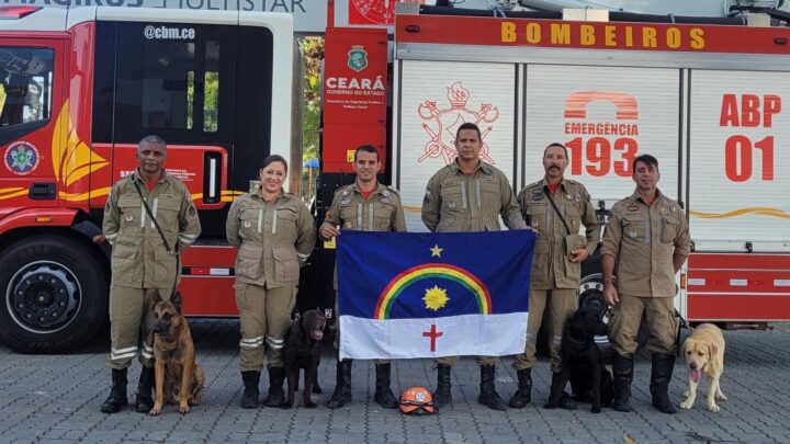 Quatro cães dos bombeiros conquistam certificação nacional