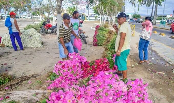 Feira de flores da Ceaca vai funcionar até dia dois de novembro