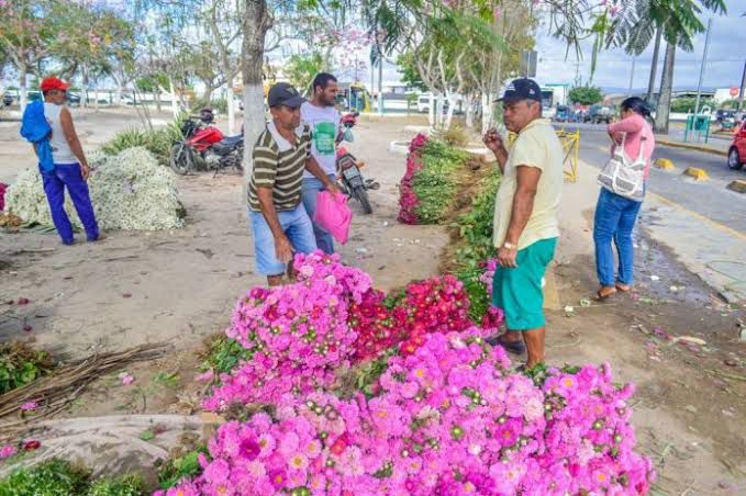 Feira de flores da Ceaca vai funcionar até dia dois de novembro Feira de flores da Ceaca vai funcionar até dia dois de novembro