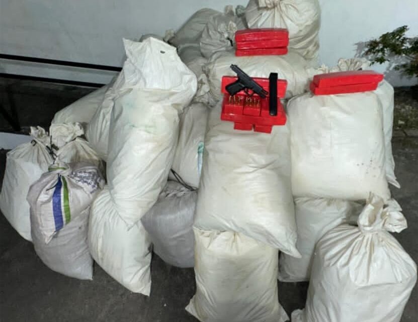 Operação apreende quase uma tonelada de maconha