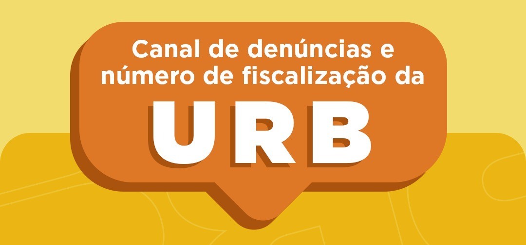 Veja como denunciar irregularidades ambientais e urbanas em Caruaru
