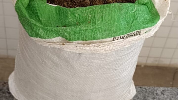 PM apreende mais de quatro quilos de maconha