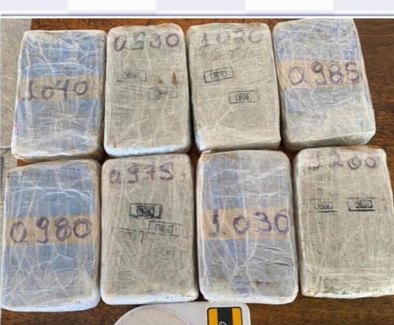 PM prende responsável por tráfico e apreende quase 9kgde maconha em Assentamento PM prende responsável por tráfico e apreende quase 9kgde maconha em Assentamento