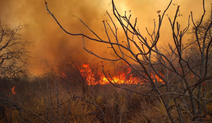 Defesa Civil de Caruaru alerta sobre perigo de queimadas e incêndios em mata neste período de estiagem