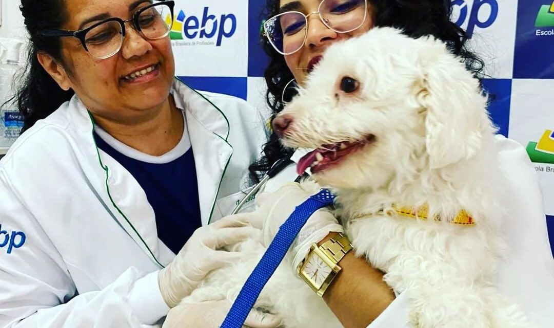Vacinação antirrábica gratuita e adoção de cães e gatos serão realizadas, nesta sexta-feira (24), em Caruaru