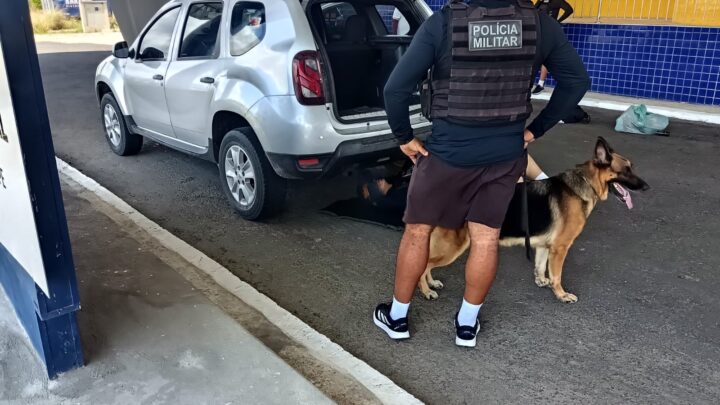 PRF e PM com ajuda de cães apreendem cocaína estimada em R$ 1 milhão, em Caruaru