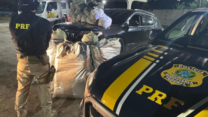 Casal que transportava 126 Kg de maconha é detido pela PRF na BR 232