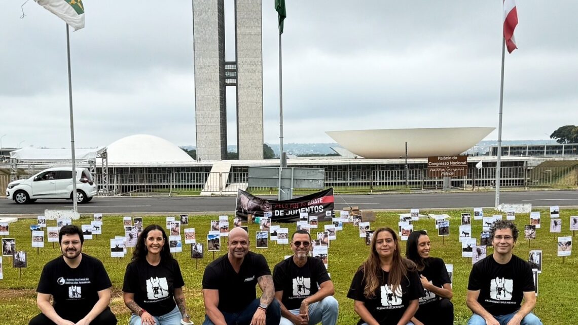 Em Brasília, Anderson Correia participa de ato nacional contra o abate de jumentos Em Brasília, Anderson Correia participa de ato nacional contra o abate de jumentos