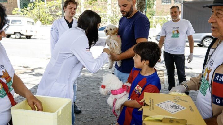 Campanha de Vacinação Antirrábica está sendo realizada em Caruaru
