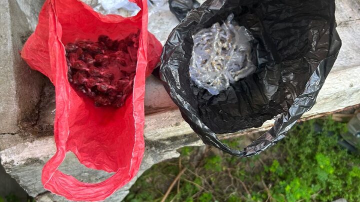 Operação da Polícia Civil de Pernambuco prende homicidas apreende arma e drogas