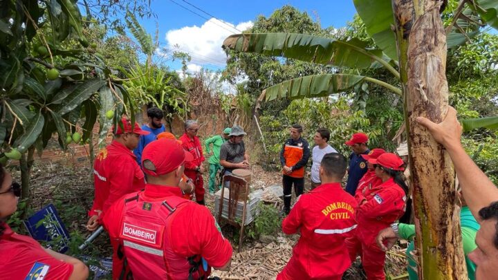 Bombeiros Civis da Secretaria de Ordem Pública participam de curso sobre captura de abelhas