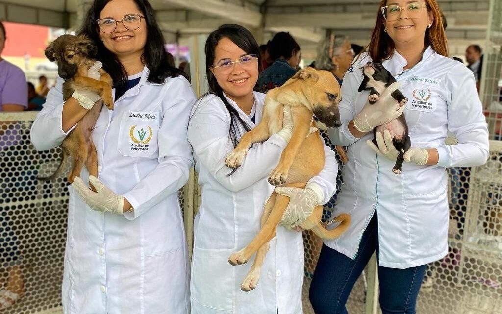 Caruaru recebe ação gratuita de vacinação antirrábica e adoção responsável de cães e gatos nesta quarta (13)