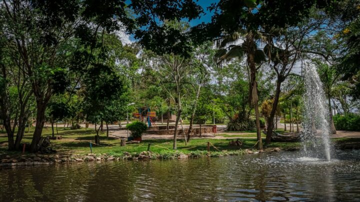 Amor pela natureza será promovido em Parques Ambientais de Caruaru