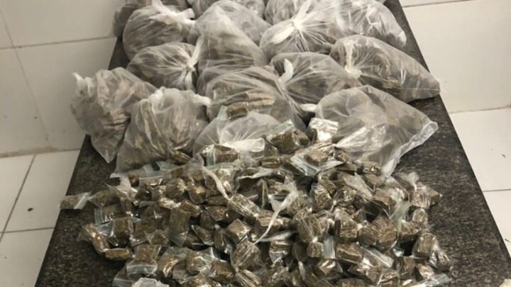 PM apreende cerca de 10kg de maconha e prende três suspeitos