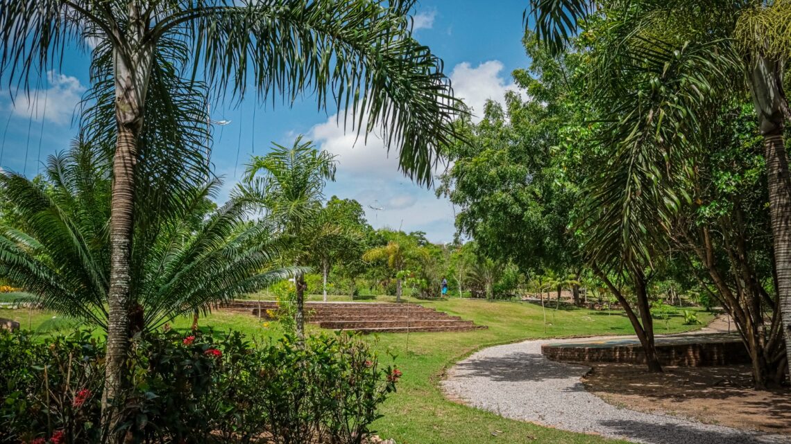 Parque Severino Montenegro terá plantio de mudas nativas e atividades para crianças e adultos, nesta quinta (18) Parque Severino Montenegro terá plantio de mudas nativas e atividades para crianças e adultos, nesta quinta (18)