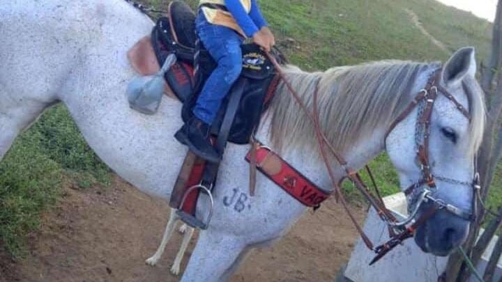 Criança morre após ser arrastada por cavalo
