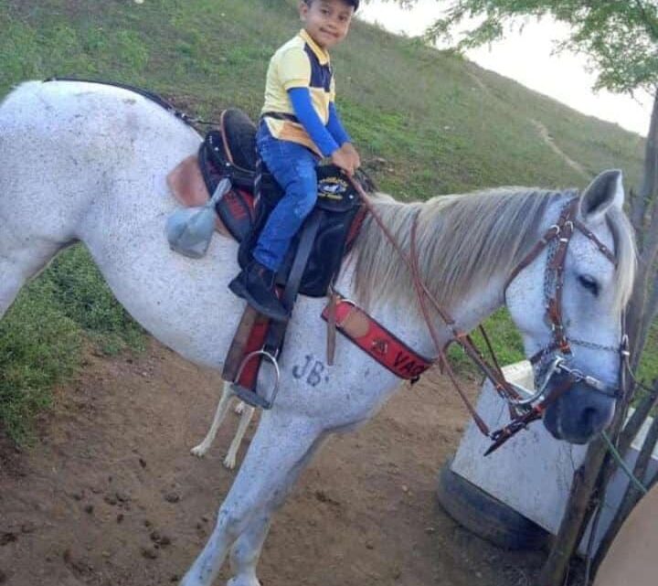 Criança morre após ser arrastada por cavalo Criança morre após ser arrastada por cavalo