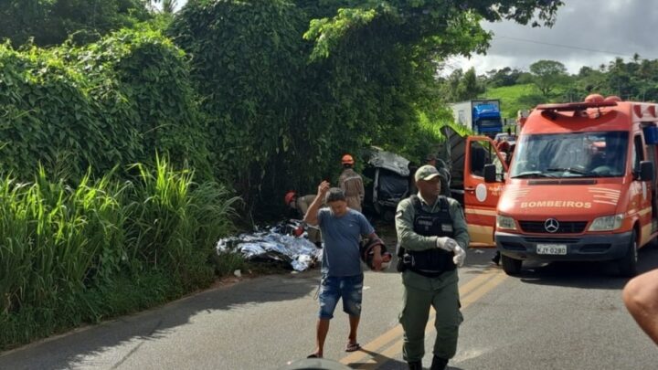 Tragédia: Oito mortes após colisão frontal entre Kombi e Caminhão