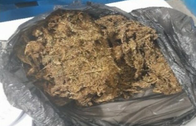 PMs apreendem drogas escondidas em barraco